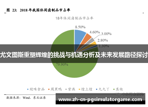 尤文图斯重塑辉煌的挑战与机遇分析及未来发展路径探讨