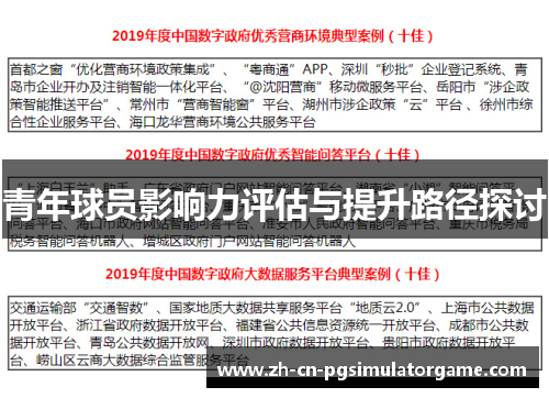 青年球员影响力评估与提升路径探讨