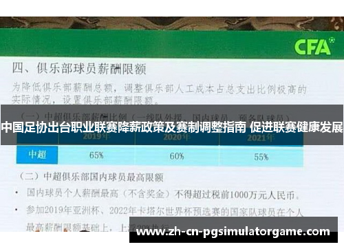 中国足协出台职业联赛降薪政策及赛制调整指南 促进联赛健康发展