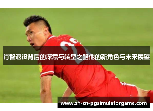 肖智退役背后的深意与转型之路他的新角色与未来展望