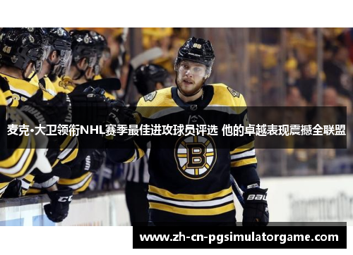 麦克·大卫领衔NHL赛季最佳进攻球员评选 他的卓越表现震撼全联盟