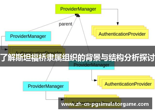 了解斯坦福桥隶属组织的背景与结构分析探讨