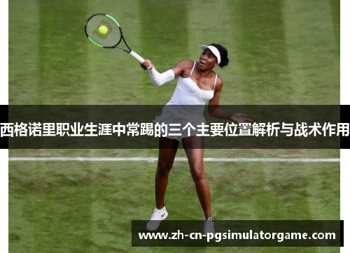 西格诺里职业生涯中常踢的三个主要位置解析与战术作用