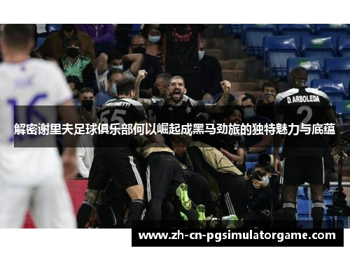 解密谢里夫足球俱乐部何以崛起成黑马劲旅的独特魅力与底蕴