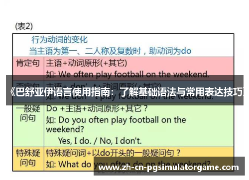 《巴舒亚伊语言使用指南：了解基础语法与常用表达技巧》