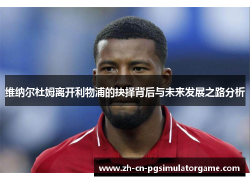 维纳尔杜姆离开利物浦的抉择背后与未来发展之路分析